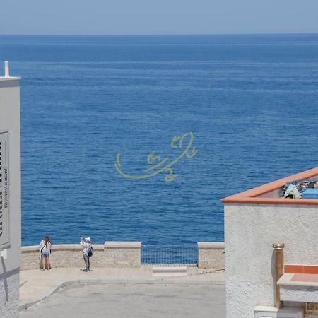 Td Casa Marevino Seaside Terrace With Panoramic Views Villa Polignano a Mare Bagian luar foto
